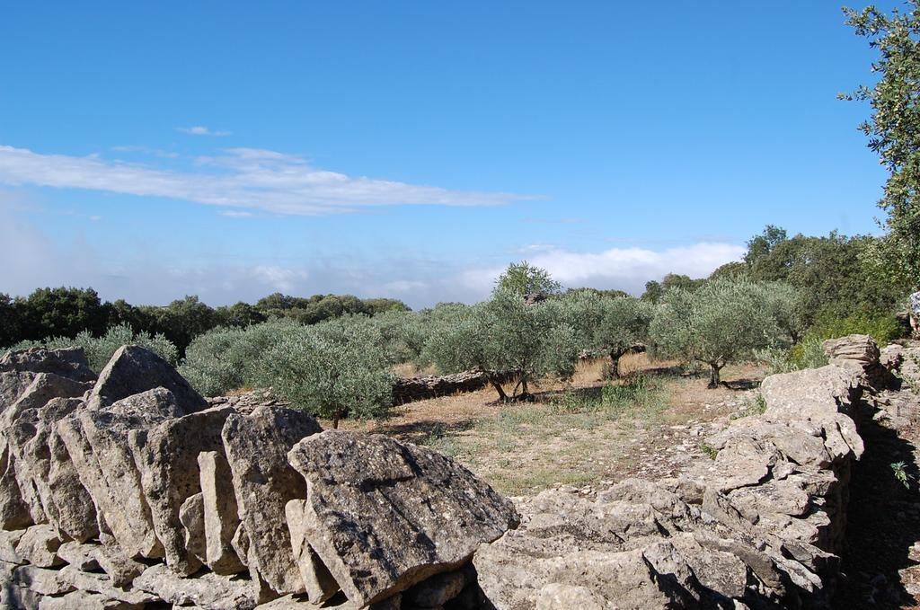 Cypres Du Paradis A Gordes Eksteriør billede